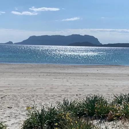 Bifamiliare Vicino Al Mare Olbia